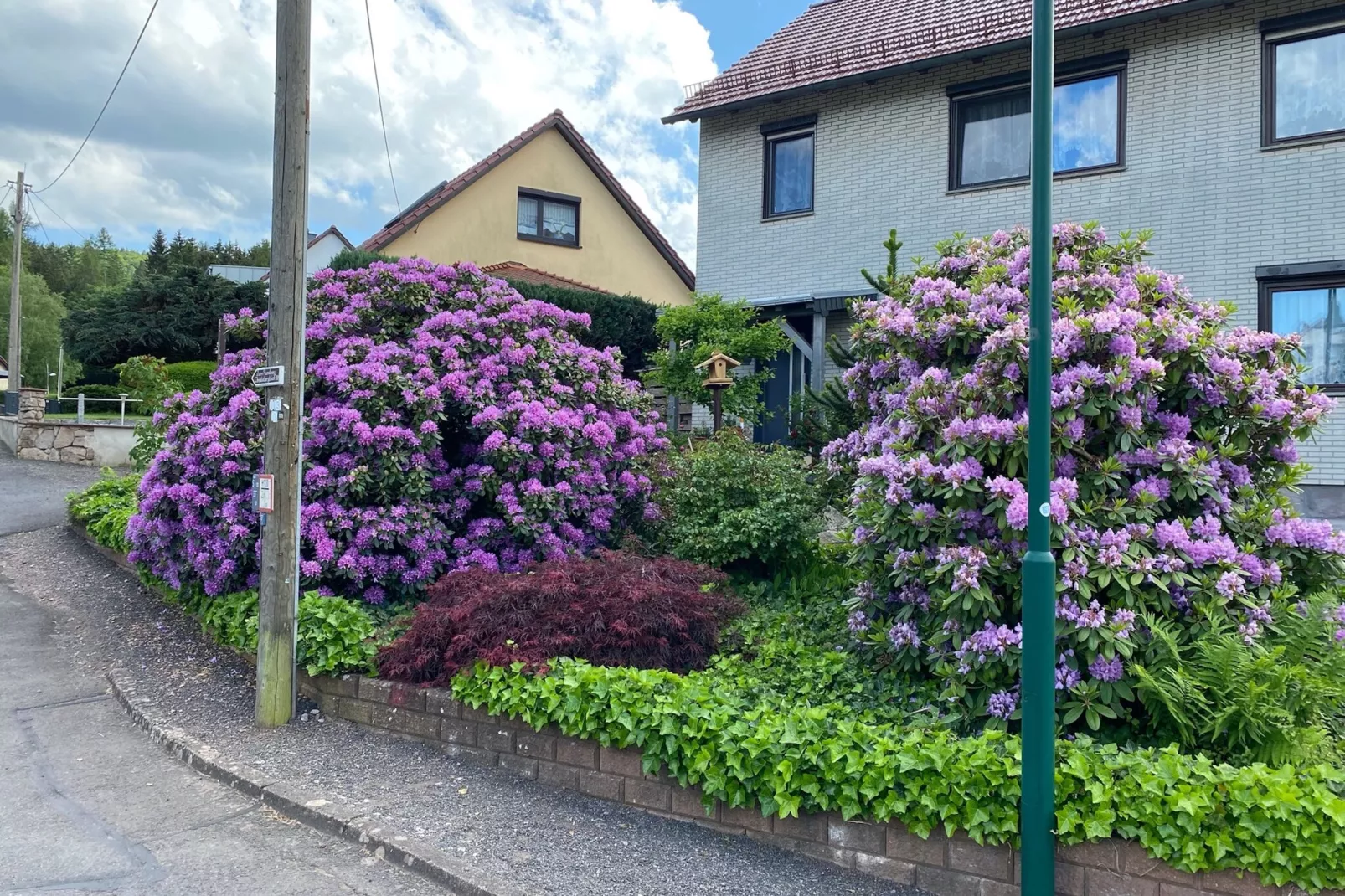 Ferienwohnung Apelt-Exterior summer