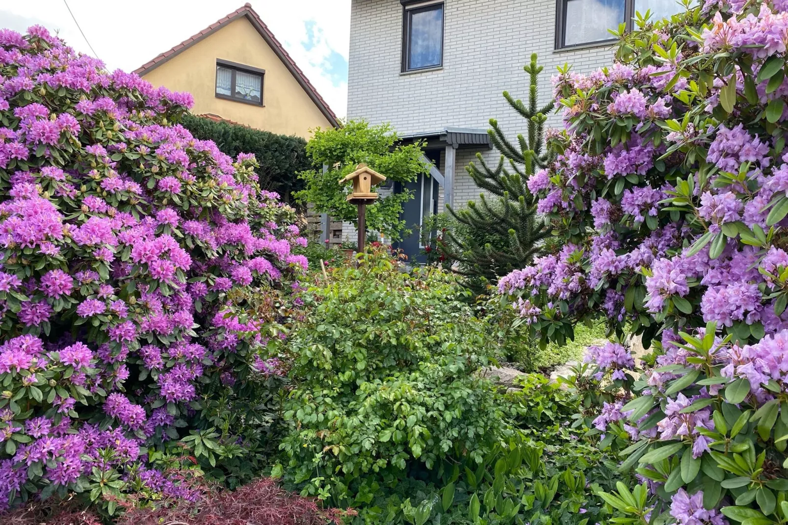Ferienwohnung Apelt-Exterior summer