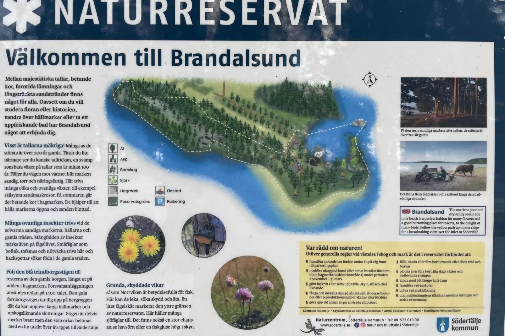 6 person holiday home in JÄRNA-By Traum-Not tagged
