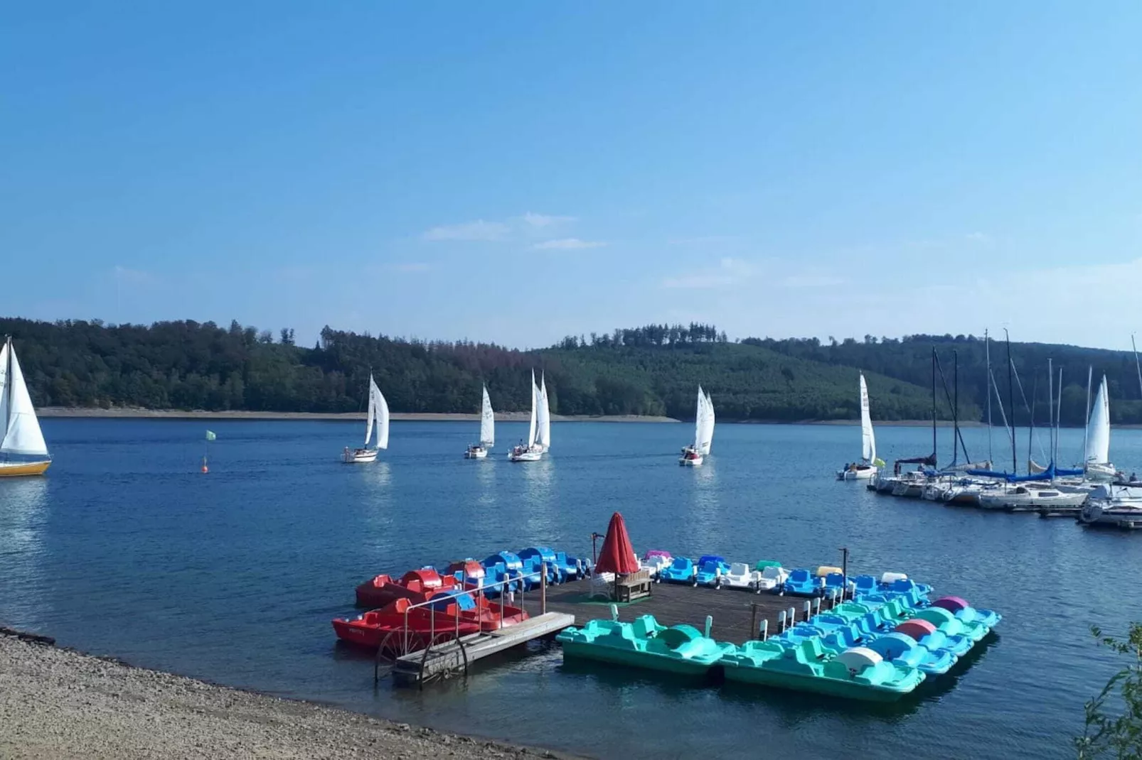 Am Sorpesee-Areas summer 1km