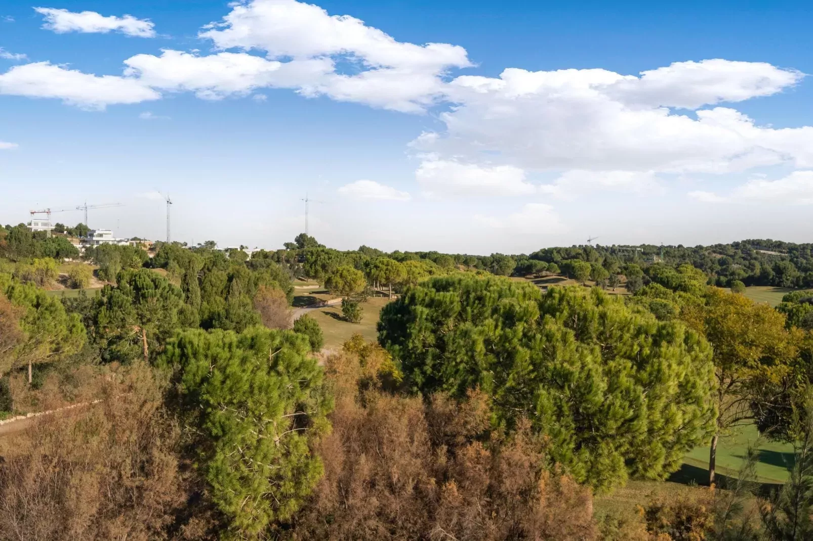 Ciruelo - Golf Las Colinas-View summer