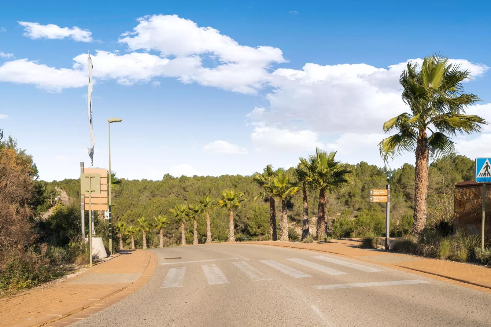 Ciruelo - Golf Las Colinas-Areas summer 1km