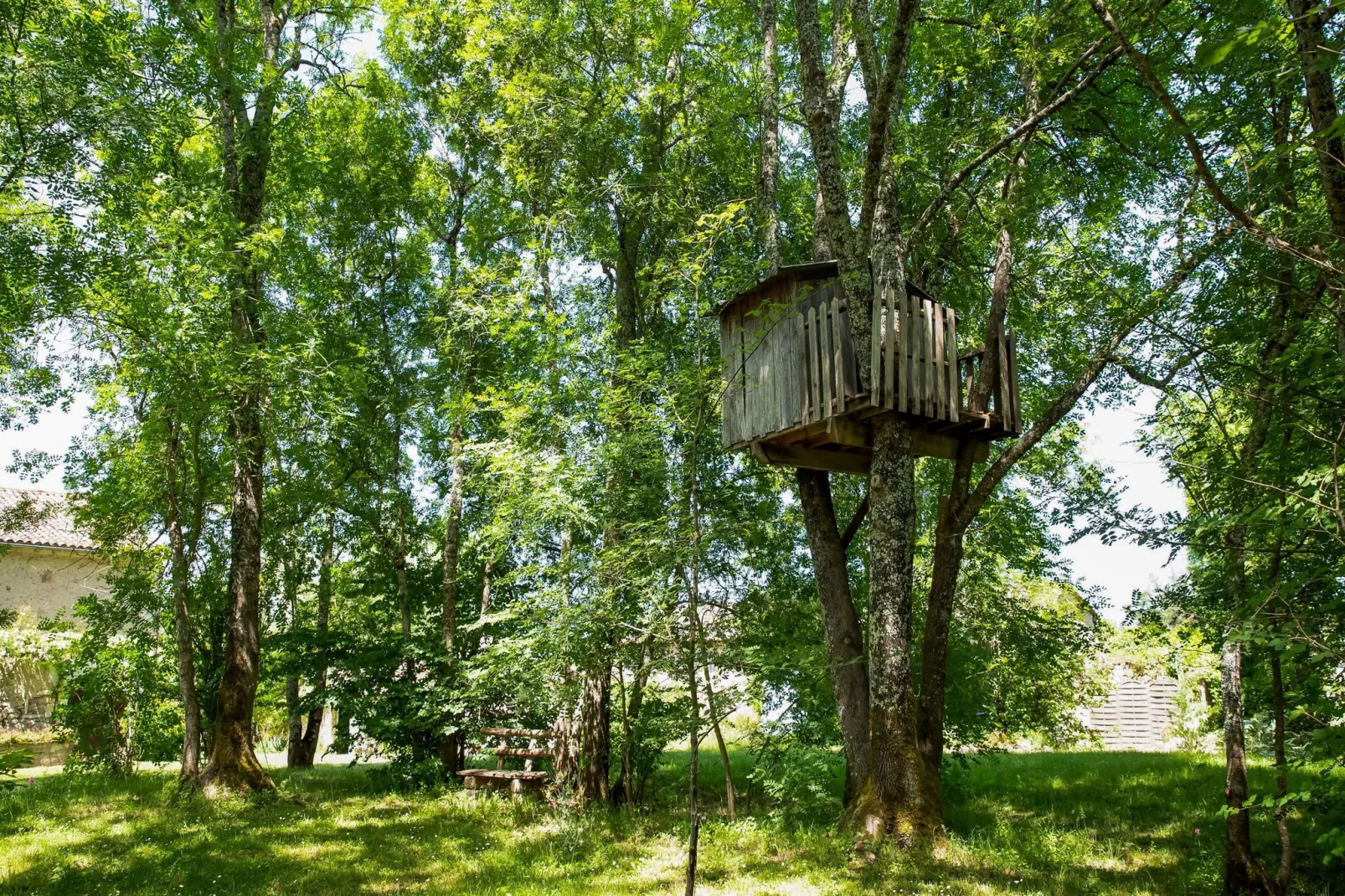 Domaine de Geneviève des Vignes-Gardens summer