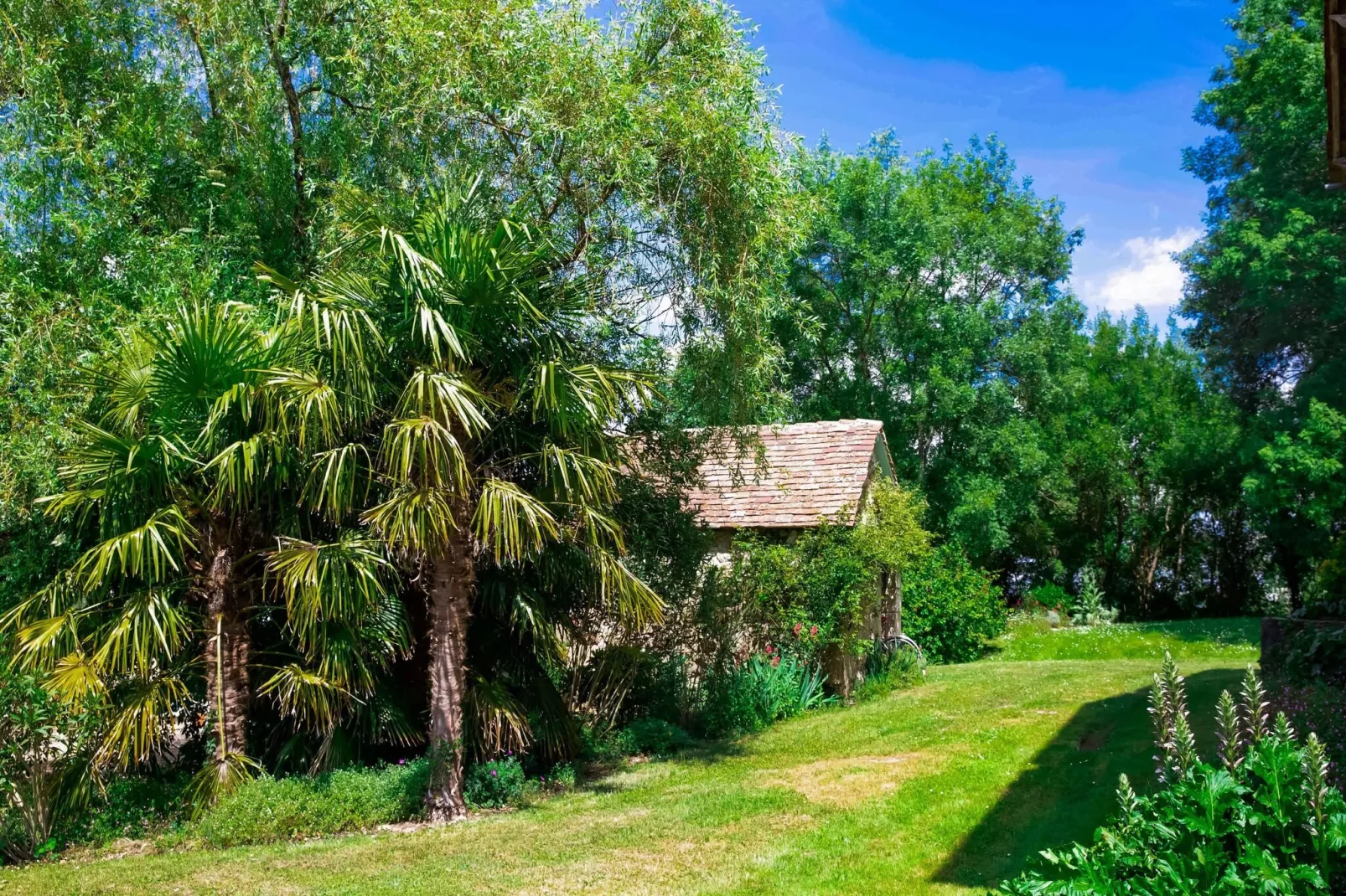 Domaine de Geneviève des Vignes-Gardens summer
