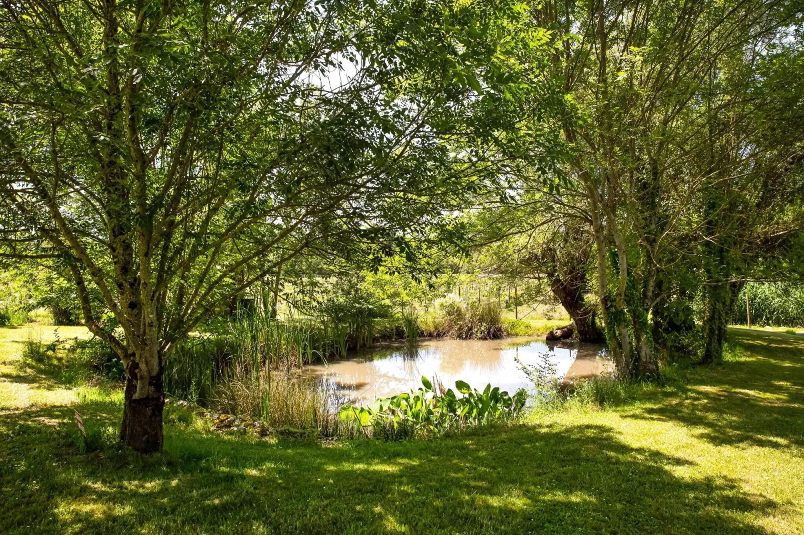 Domaine de Geneviève des Vignes-Areas summer 1km