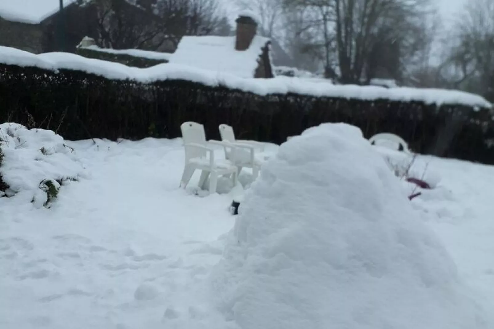 Petite Plaisance-Garden winter