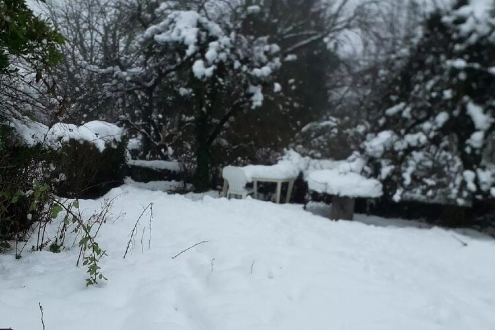 Petite Plaisance-Garden winter