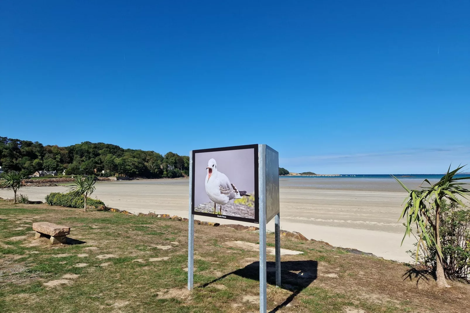 Maison de vacances Ploumilliau-Areas within 20km in summer