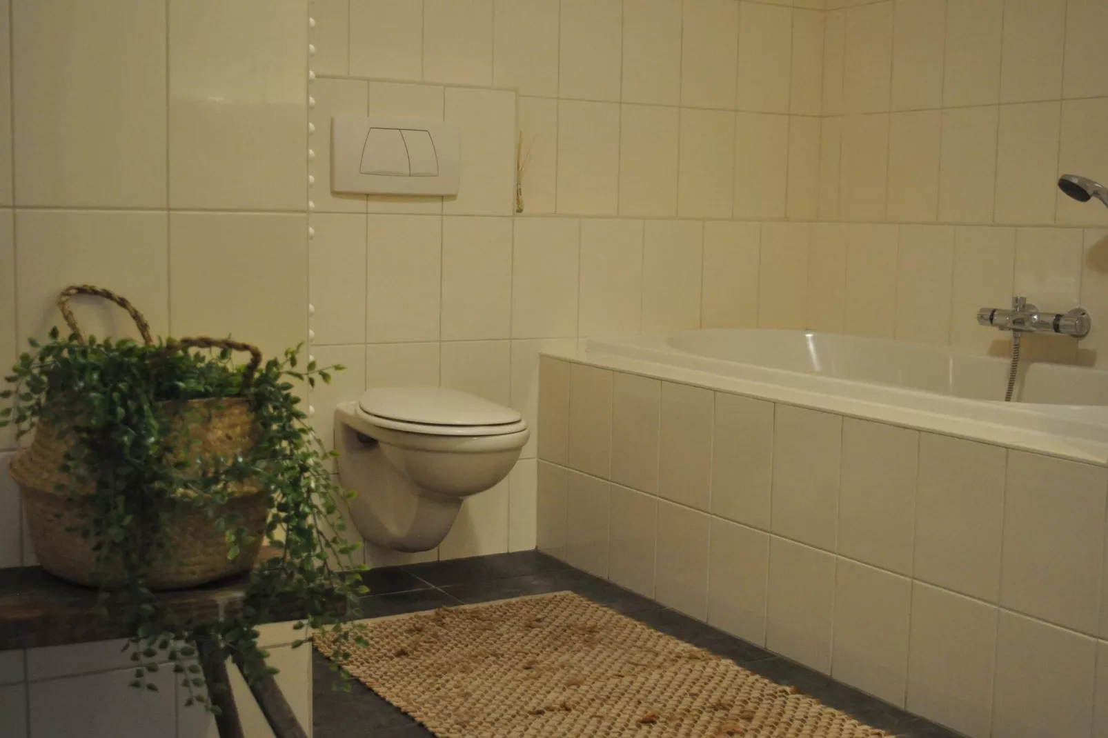 Dorpswoning De Volbloed-Badezimmer