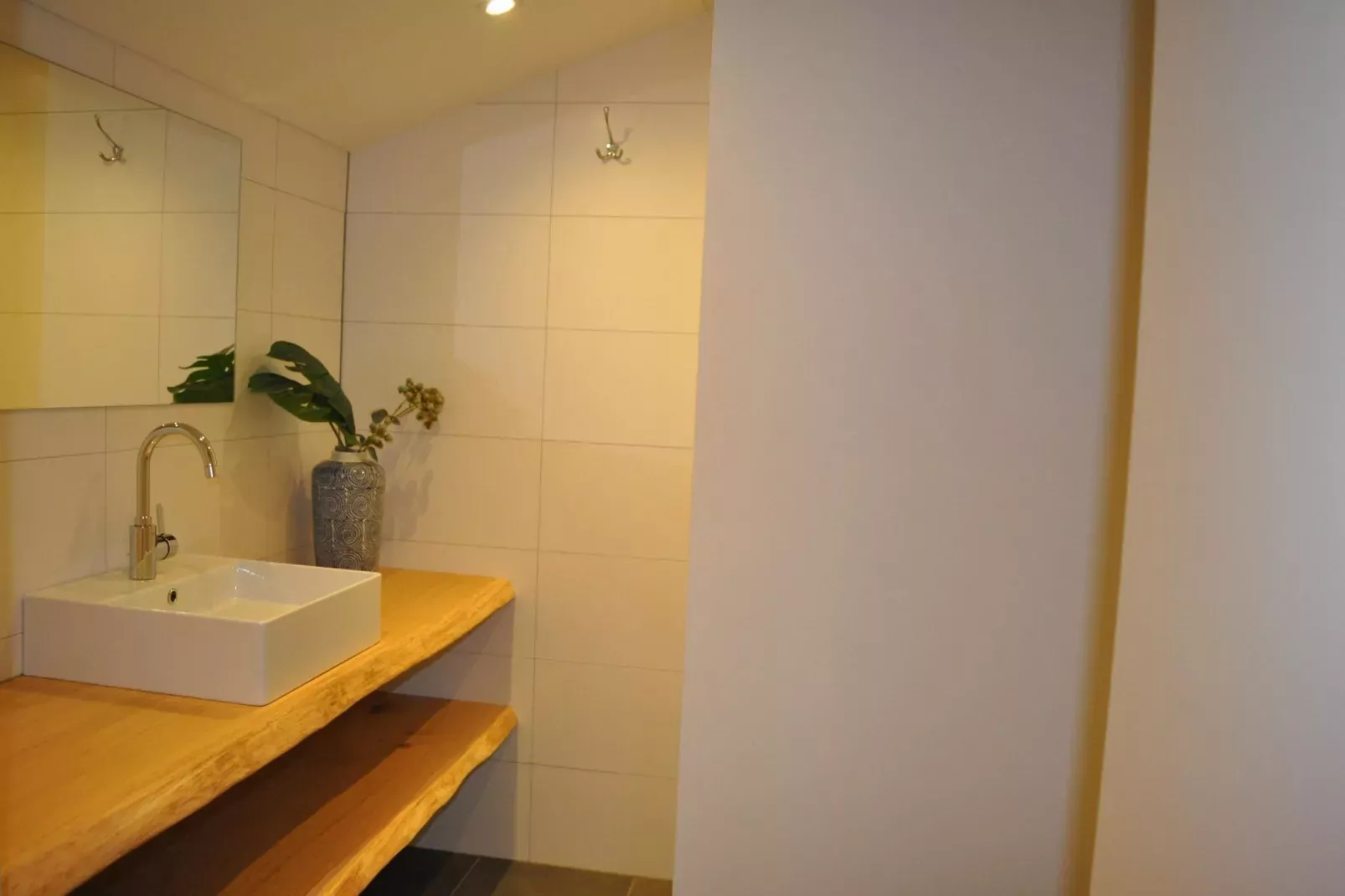 Dorpswoning De Volbloed-Badezimmer