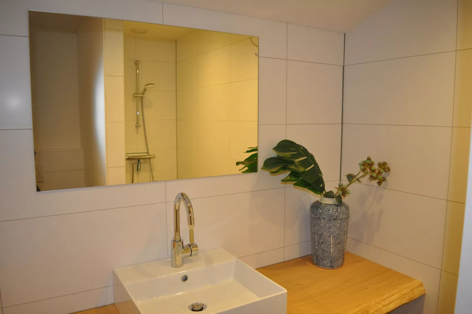 Dorpswoning De Volbloed-Badezimmer