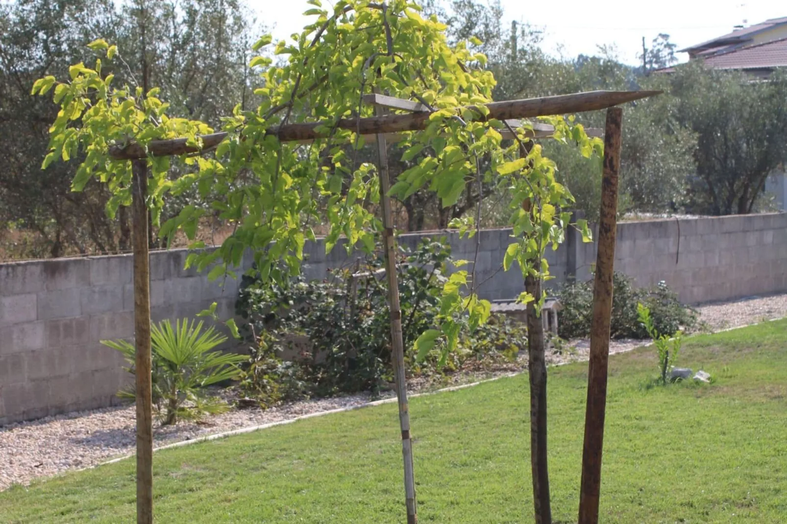 Moinho-Gardens summer