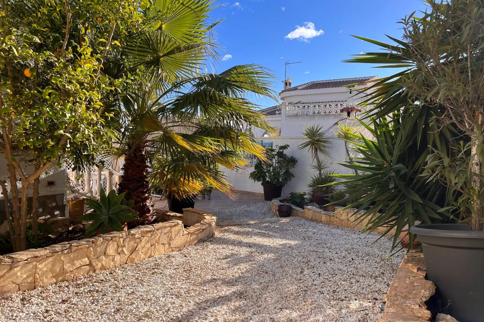 Villa Cuidad Quesada-Gardens summer