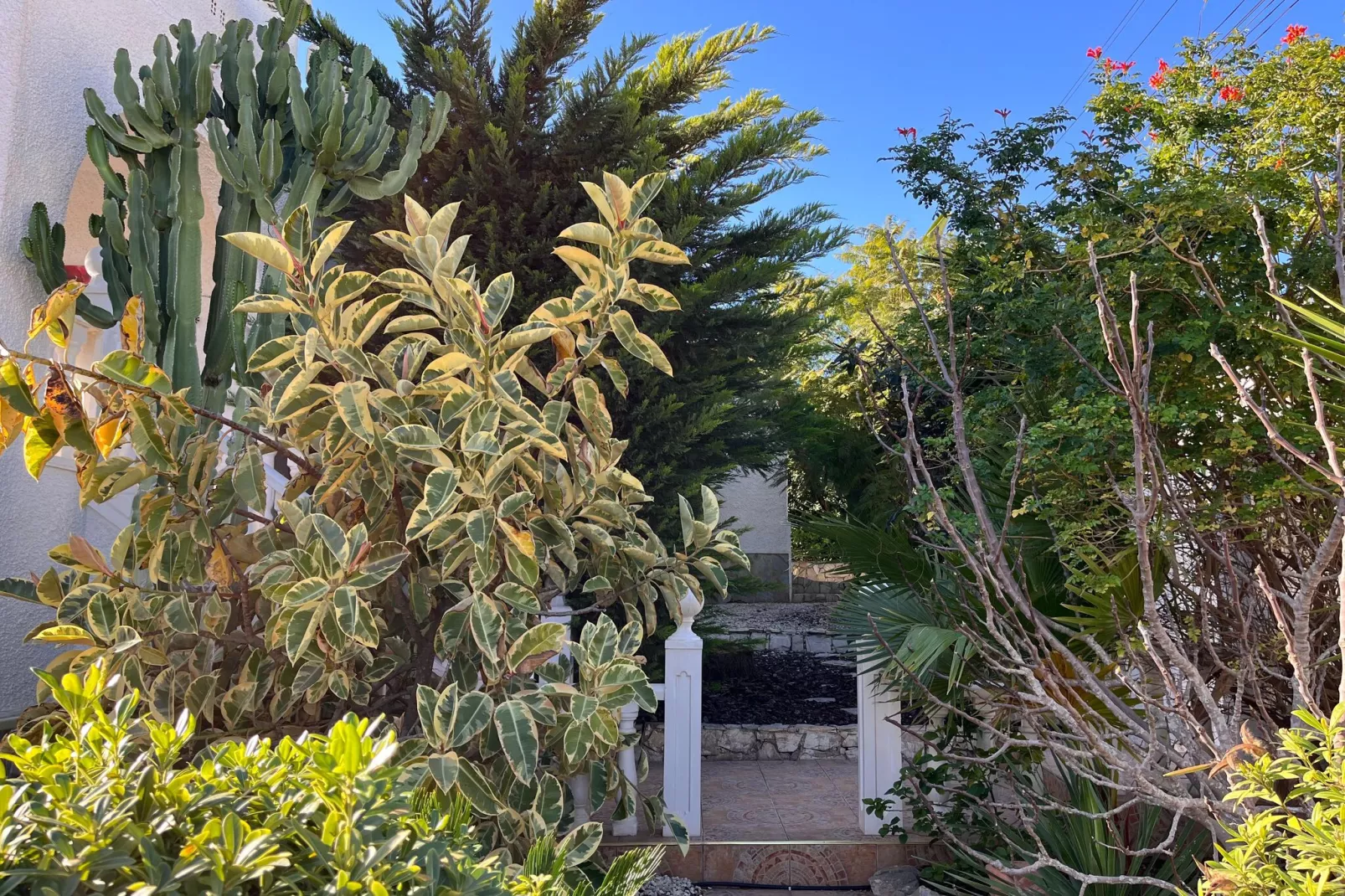 Villa Cuidad Quesada-Gardens summer
