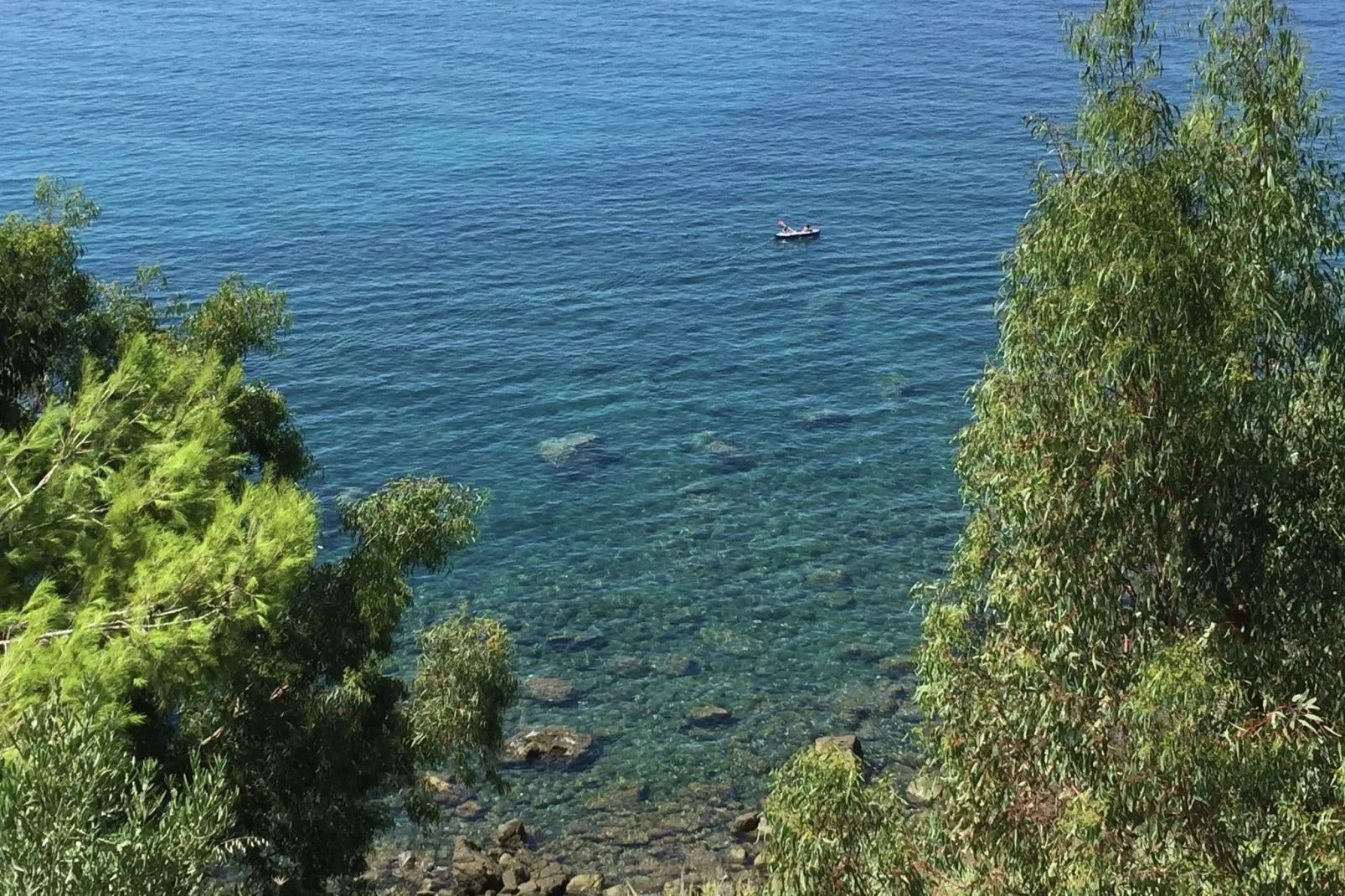 Olivia-View in summer