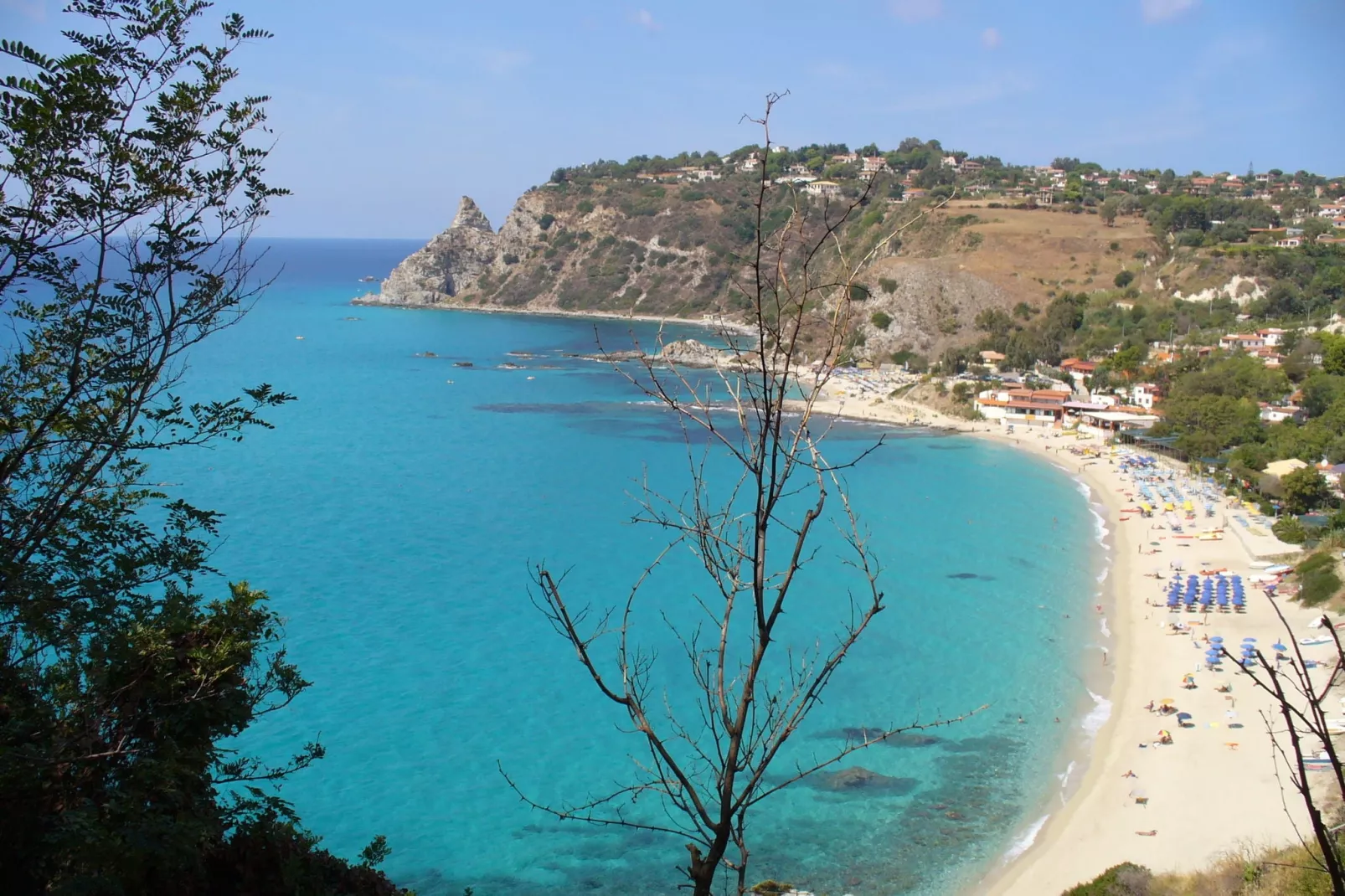 Olivia-Areas within 5km in summer