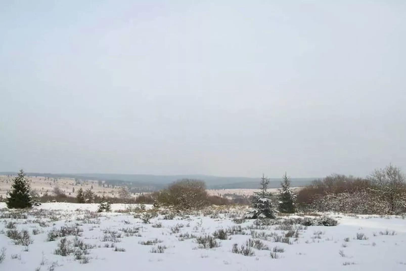 Cligneval-Area winter 5km