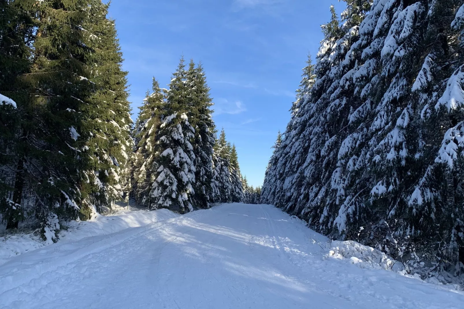 Hautes Fagnes-Area winter 20km