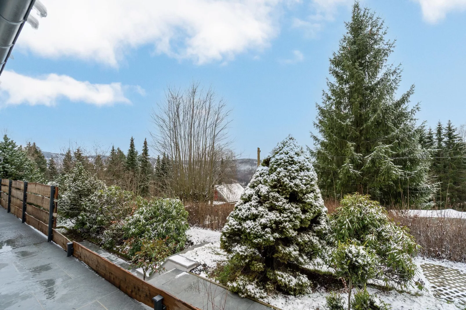 Ferienhaus Selma-Garden winter