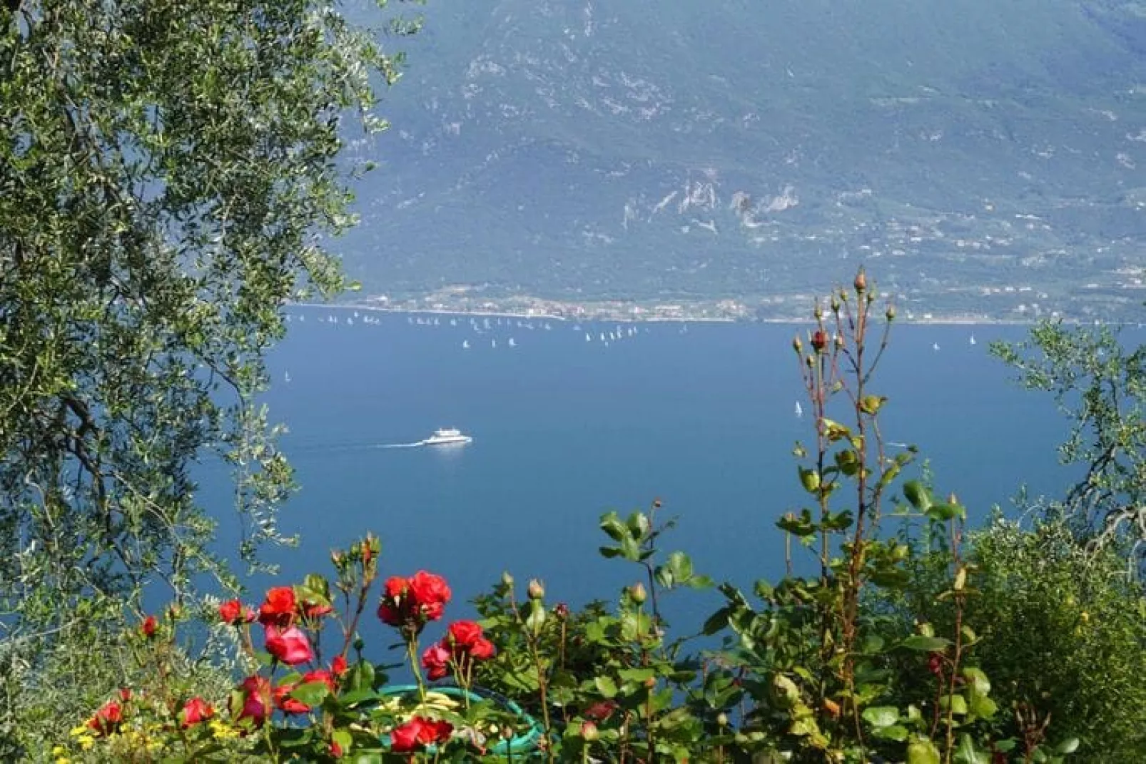Apartments Casa Tamas, Limone-bilo 4 pax-Water view