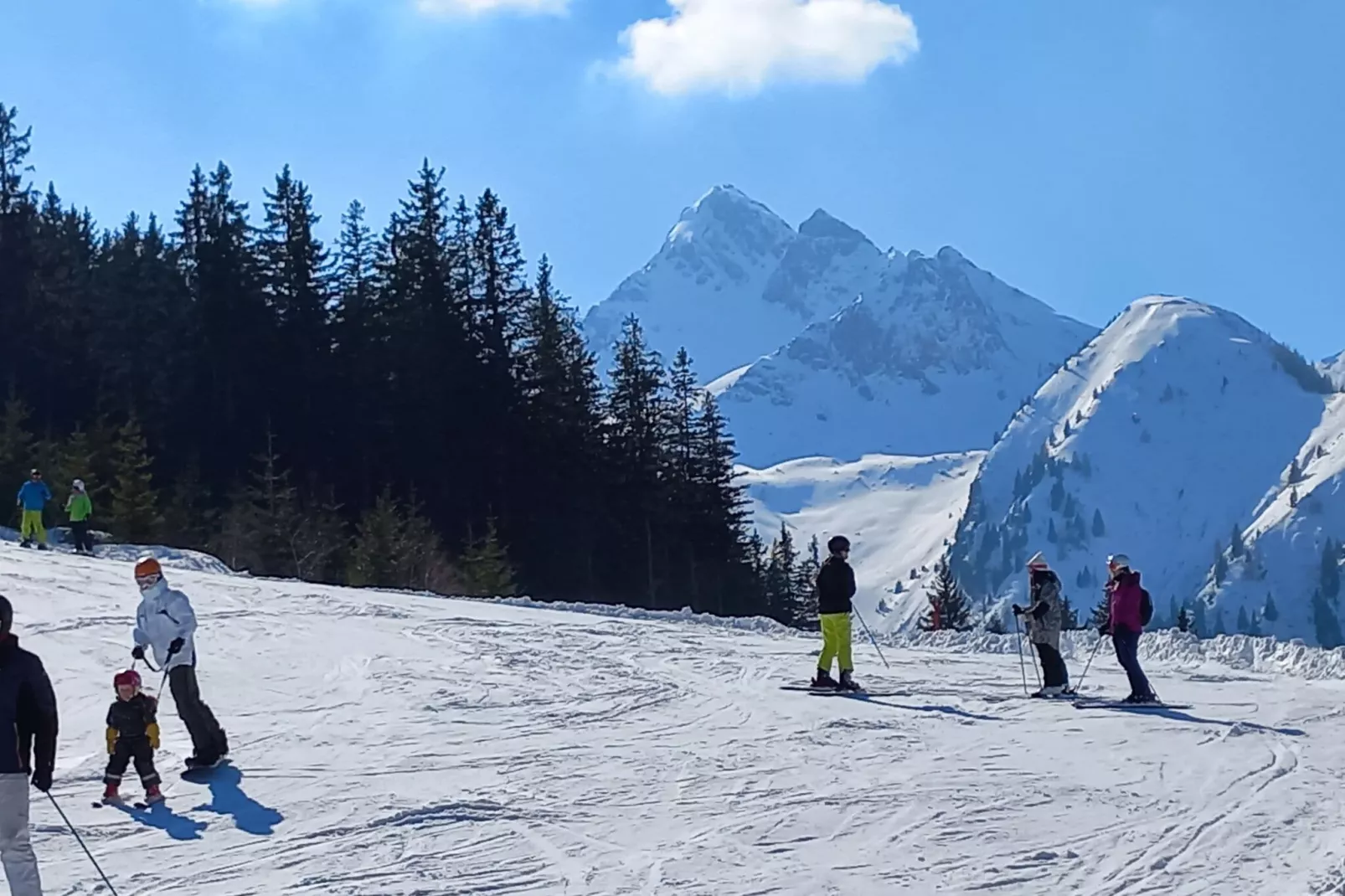 Appartement Mountain Joys-Area winter 20km