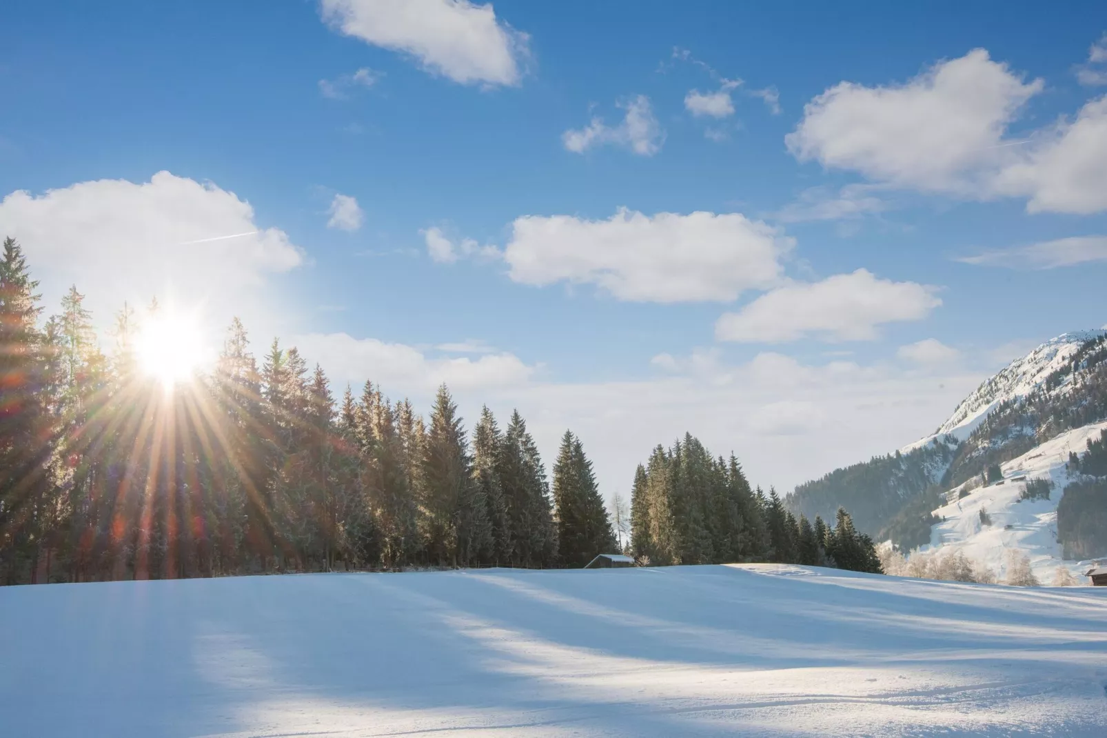 Residenz Edelalm - Top 1-Area within 5km in winter