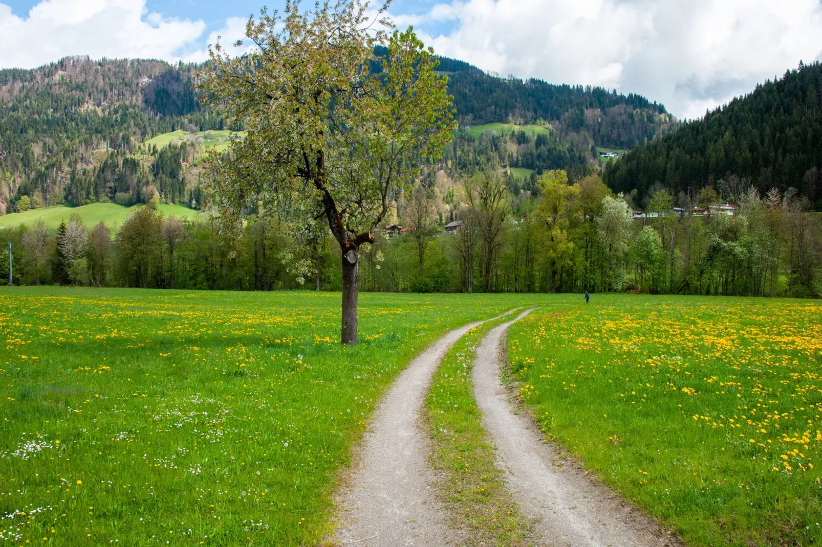 Residenz Edelalm - Top 1-Areas within 1km in summer