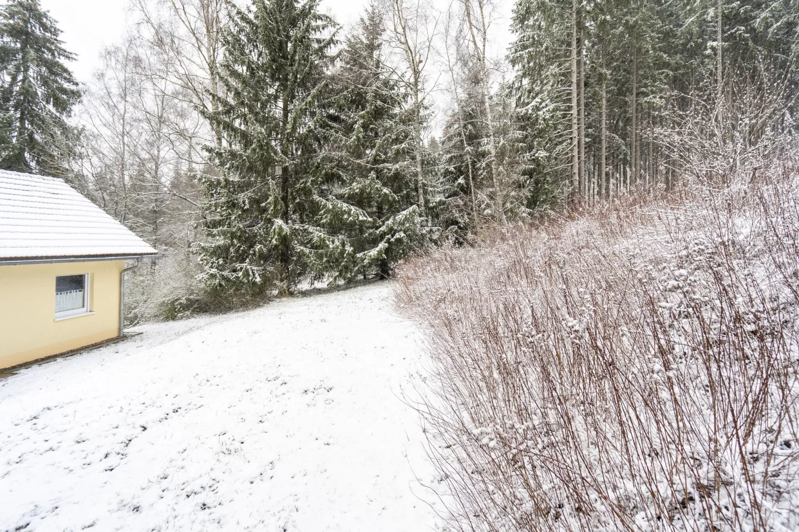 gardenwinter