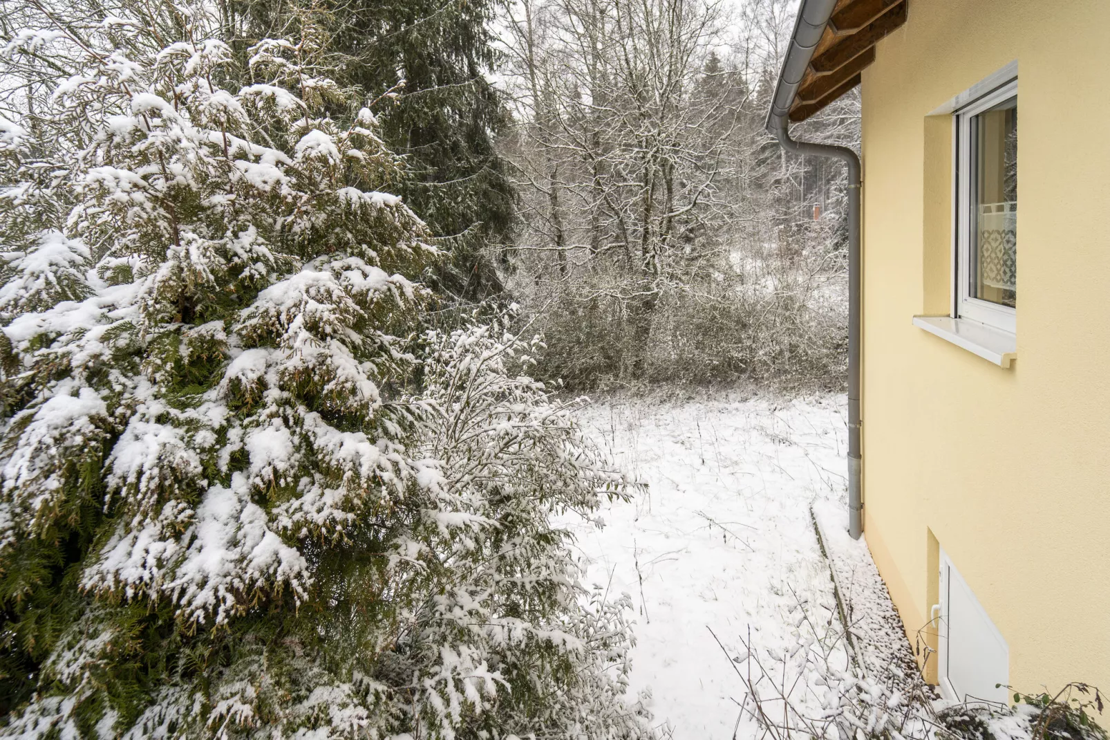 Ferienhaus Konrad-Garten Winter