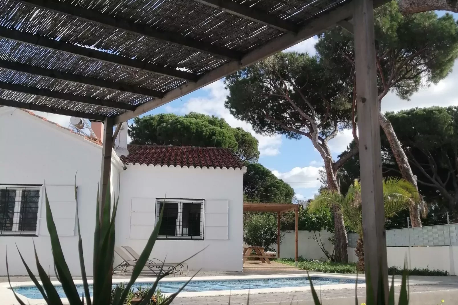 Villa Lili-Exterior summer