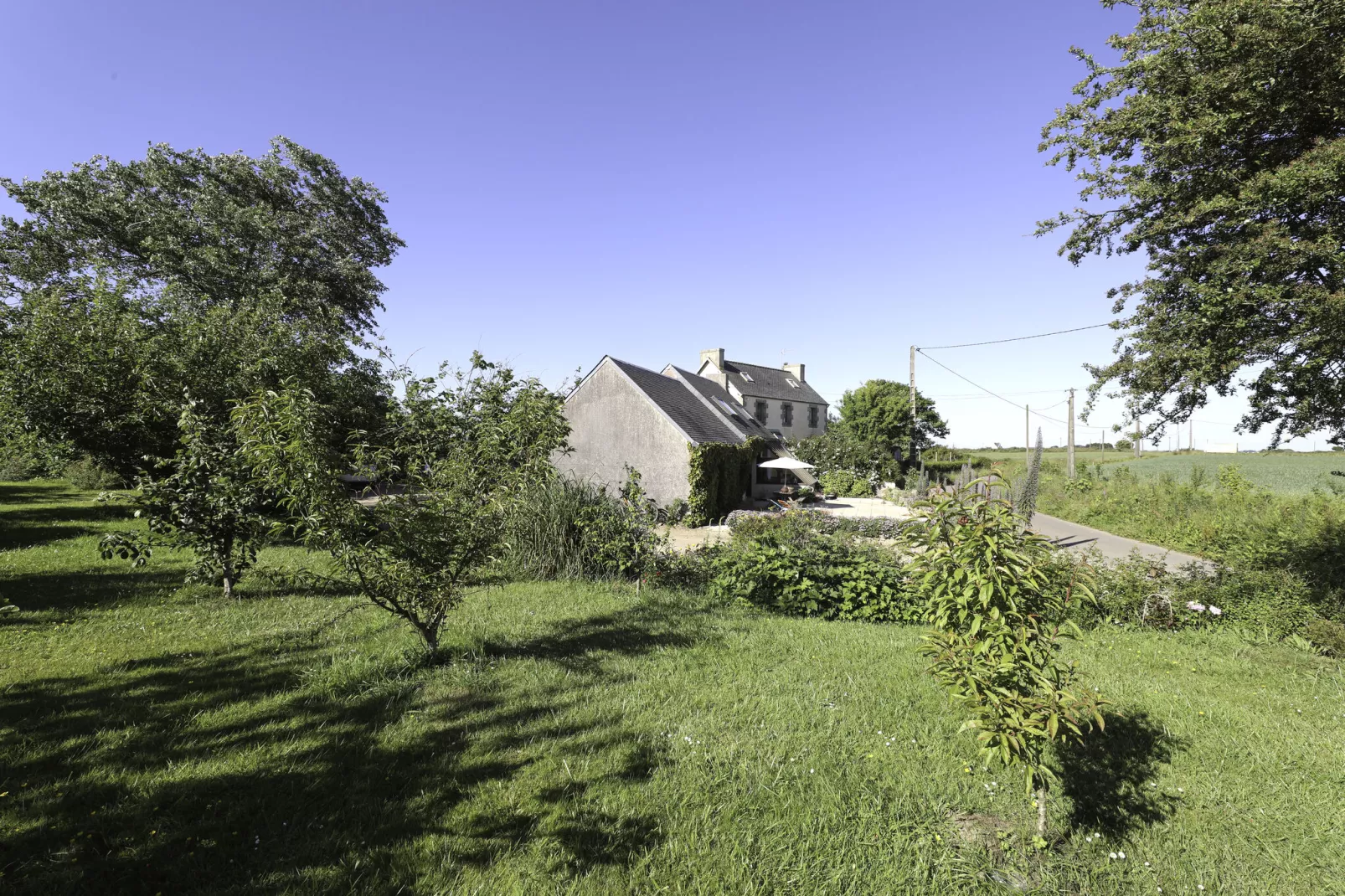 Ferienhaus in Sibiril-Gardens summer