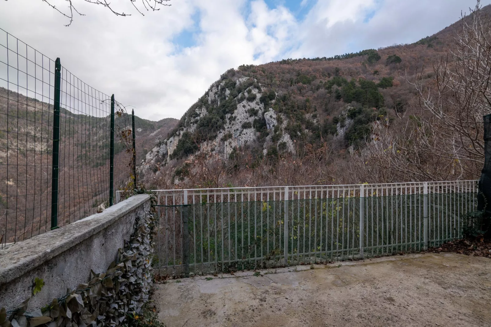 Polino Sambuco - View in summer