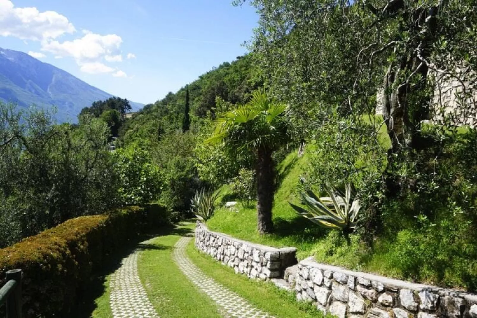 Apartments Casa Tamas, Limone-bilo 4 pax-Gardens summer
