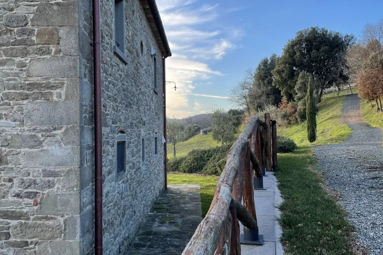 Ginepro-Exterior summer