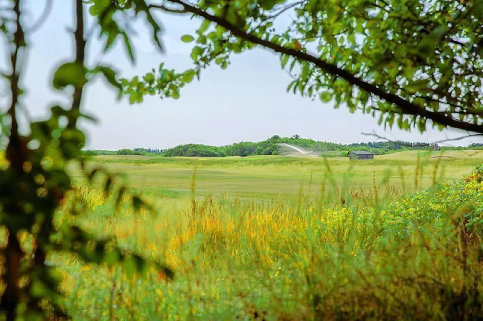 Golfvilla 39 Wellness-Areas summer 1km