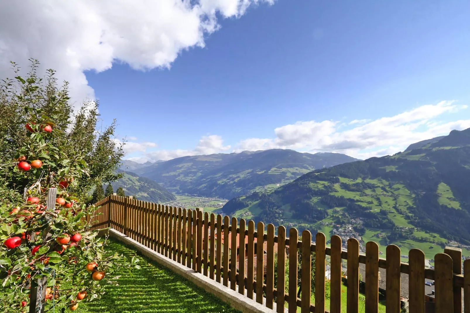 Haus Steinberger-Jardin d'été