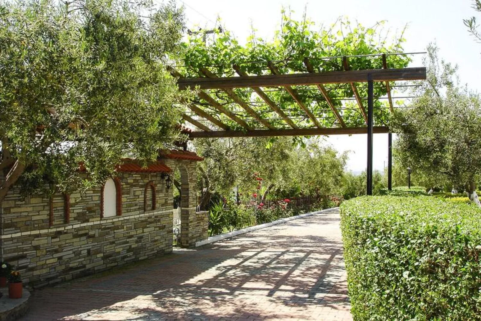 Holiday resort Asteris Village Gerakini-Studio-Jardin d'été