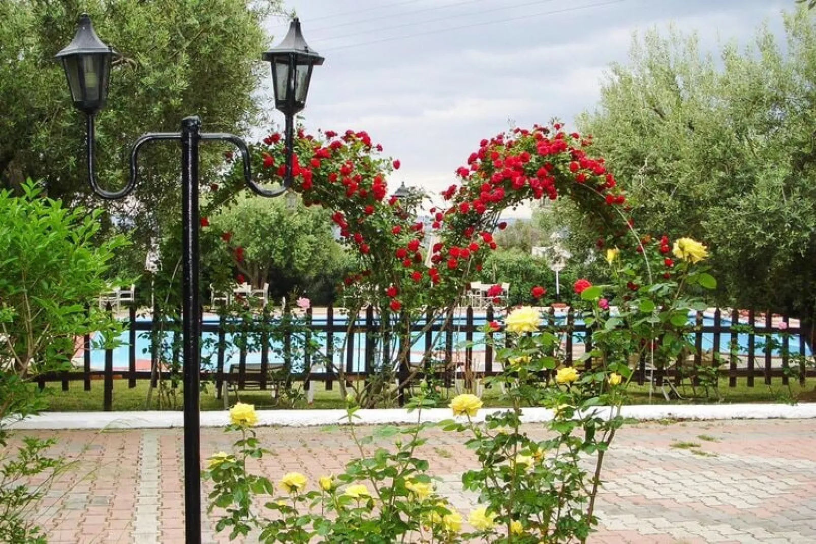 Holiday resort Asteris Village Gerakini-Studio-Jardin d'été
