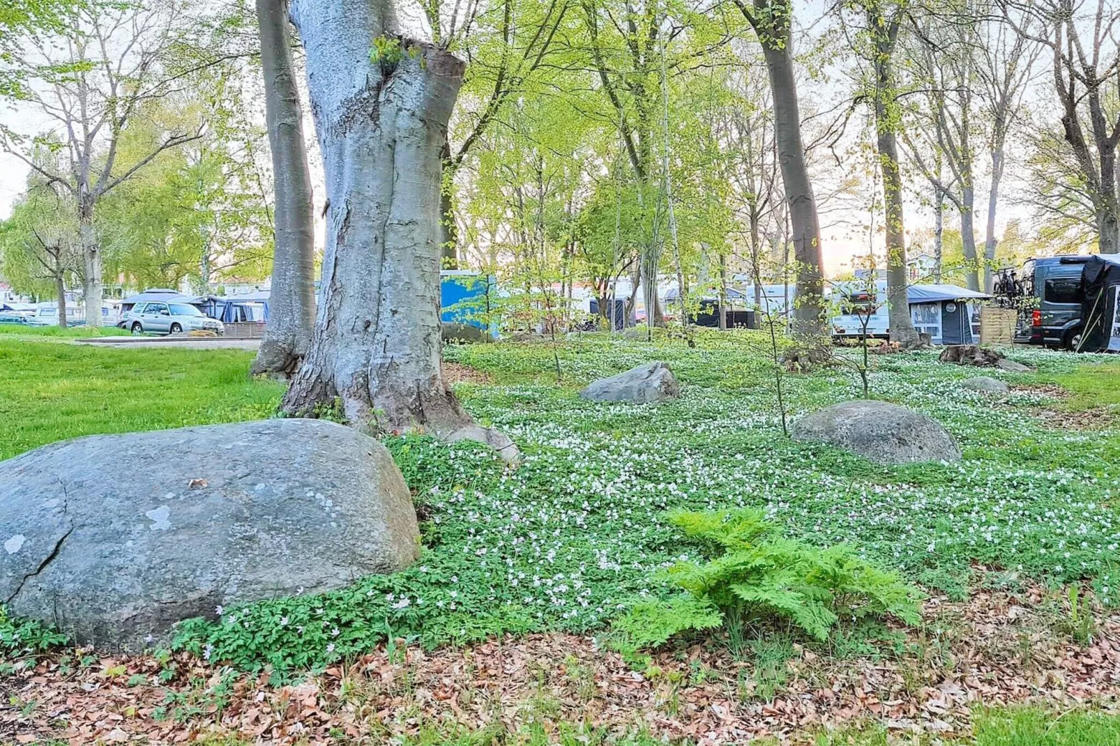 9 person holiday home in SÖLVESBORG-By Traum-Not tagged