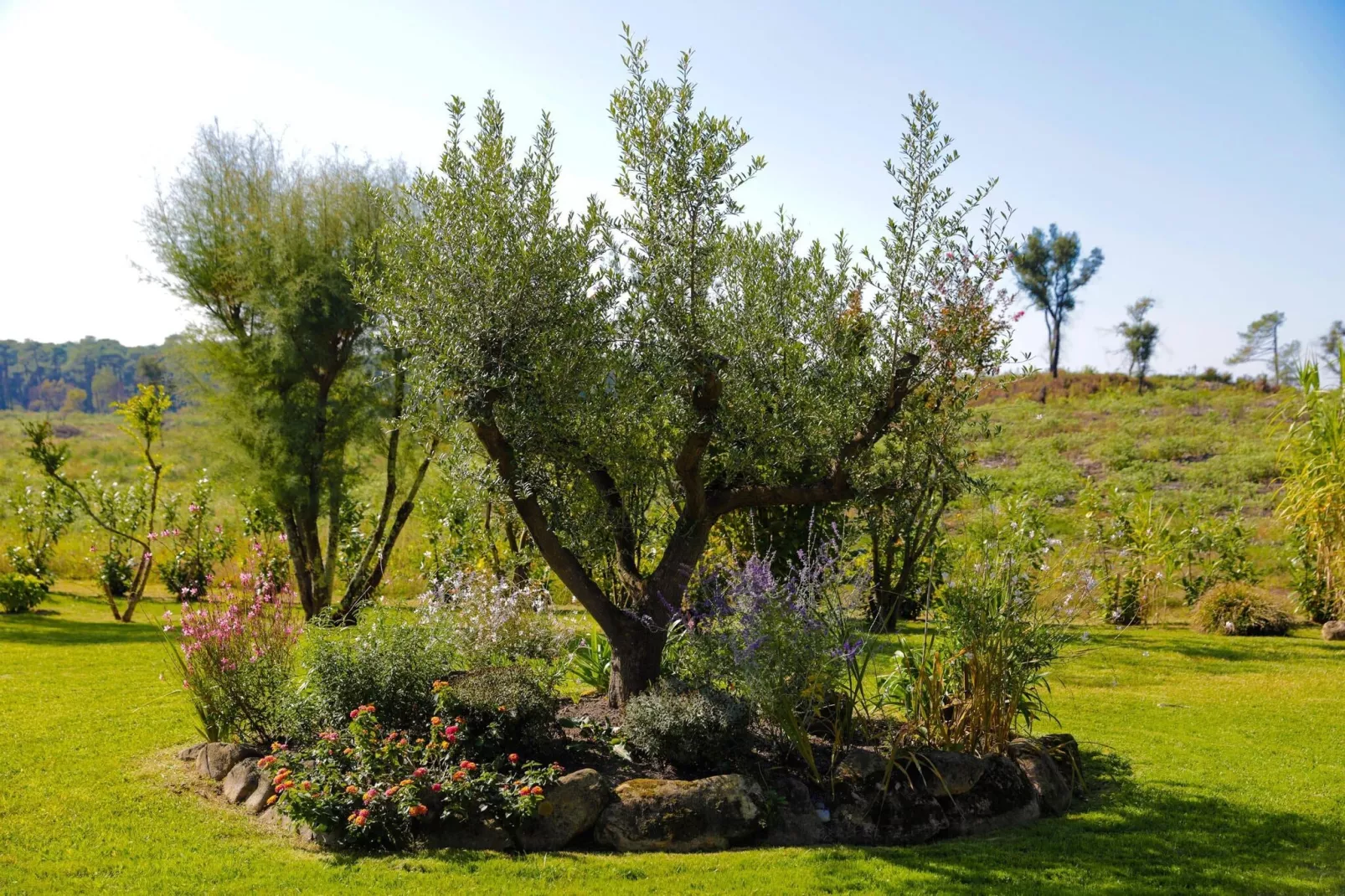 Villa 3 stars - Biarritz-Gardens summer