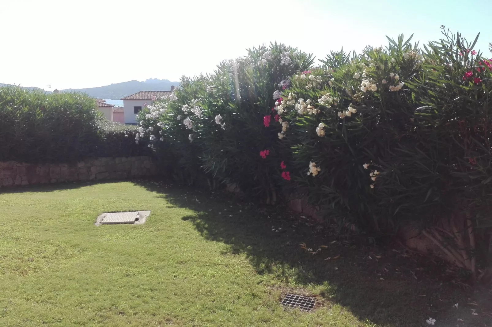 Holiday home La Conia Cannigione-Villa Lu Nibaru Low 2  per 4 Pers-Gardens summer