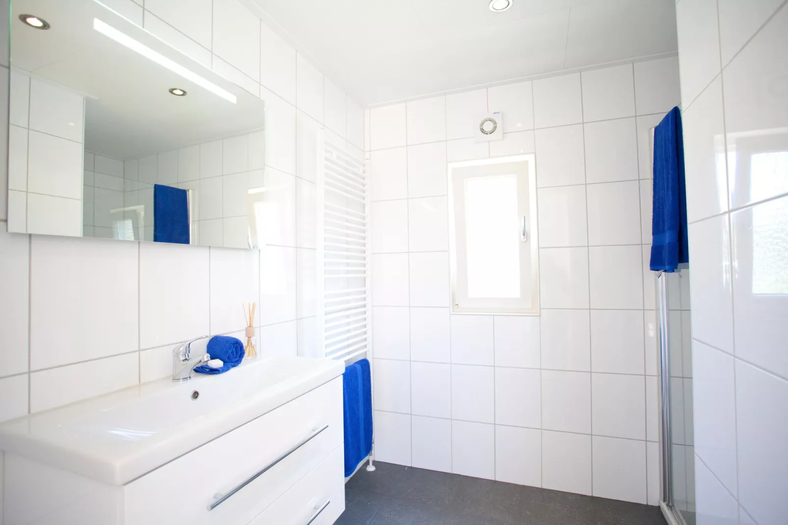 Resort Buitenhuizen 8-Bathroom