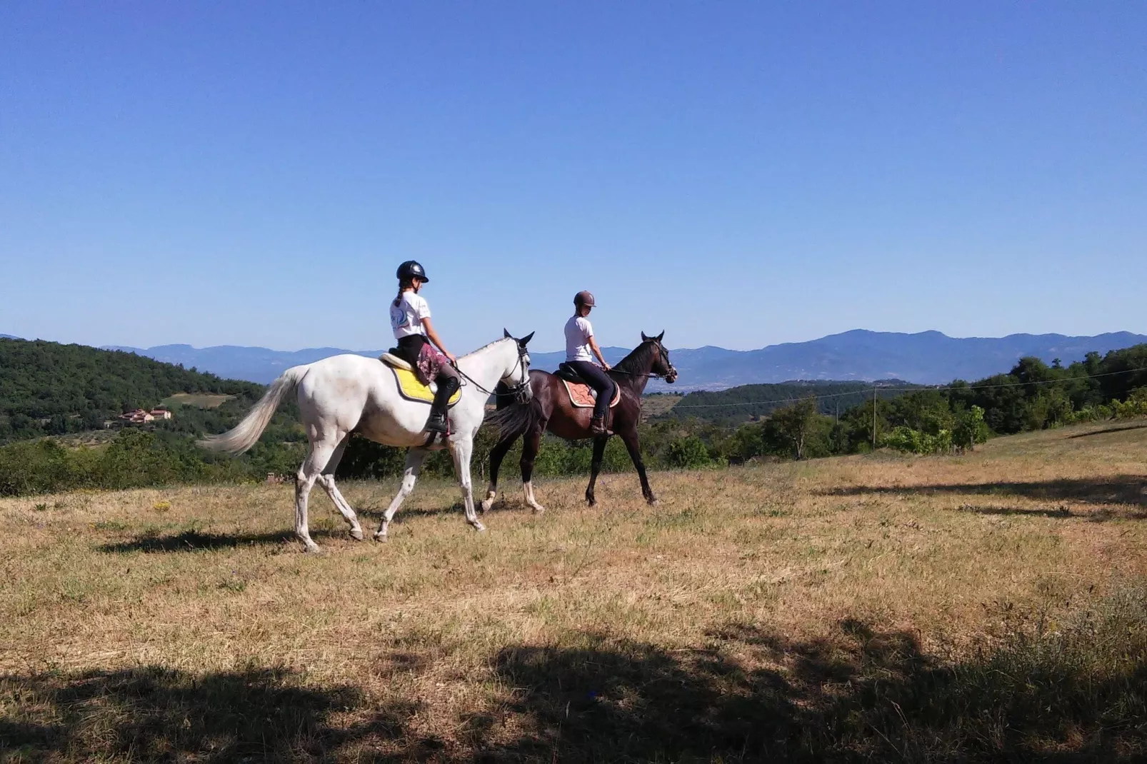 Giuditta-Areas summer 1km