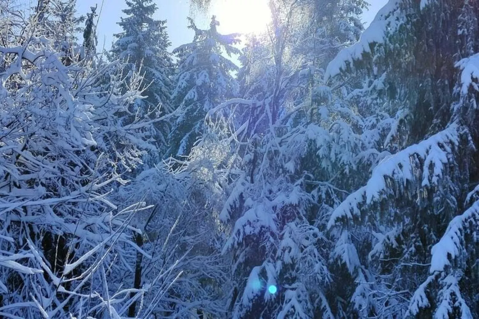 Blue Wood-Exterior summer