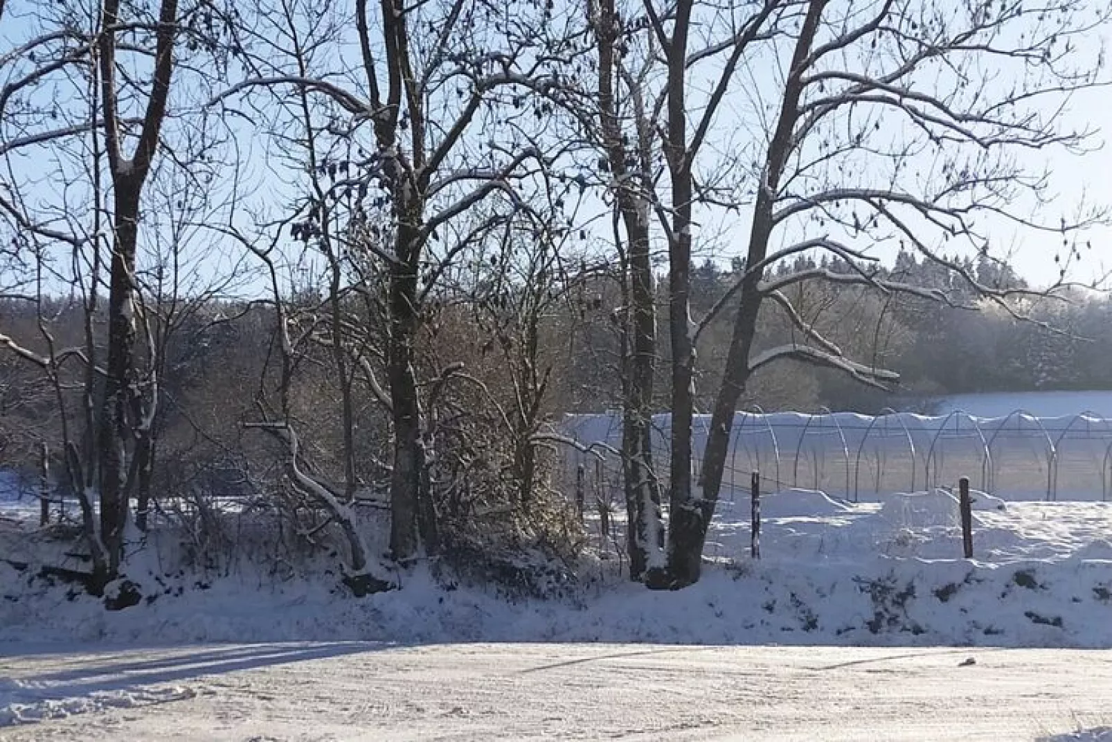 Escale J-P-Area winter 1km