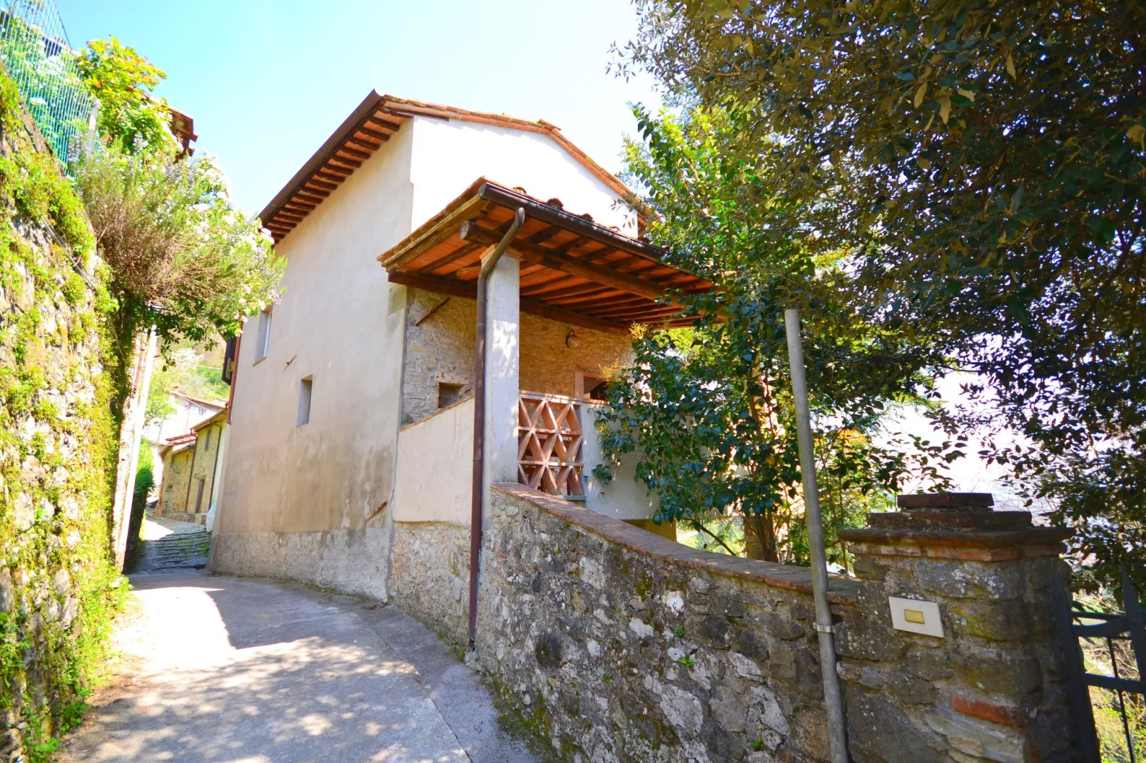 Camelia-Exterior summer
