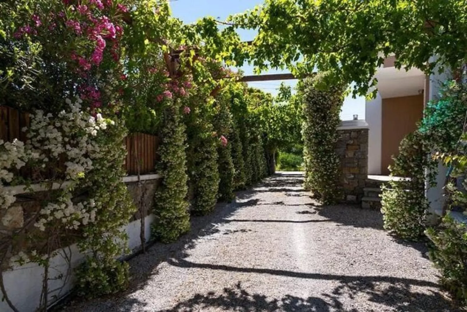 Villas Horizon Line / Villa Ariti / Kiotari-Atmosphere