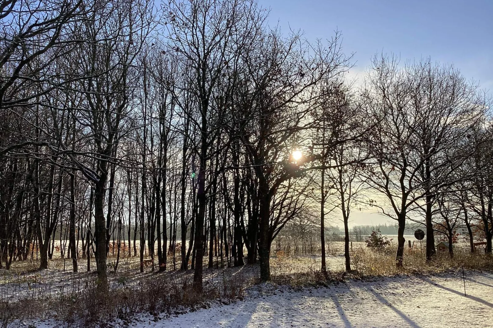 6 person holiday home in Hovborg-By Traum-View