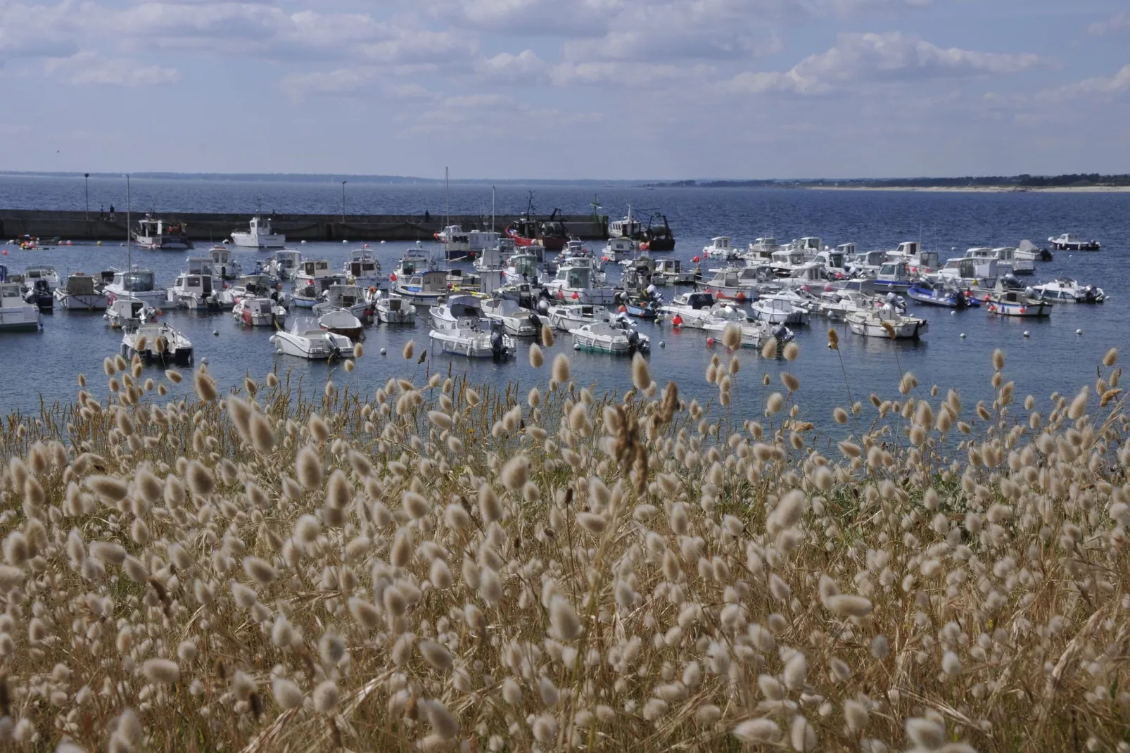 Maison de vacances - QUERRIEN-Areas summer 20km