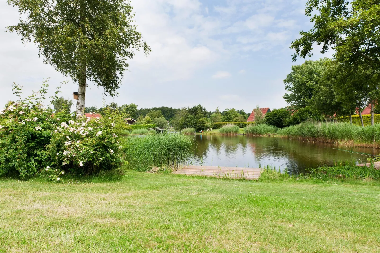 6 pers Renneborghuis Wellness Comfort met sauna-Gardens summer